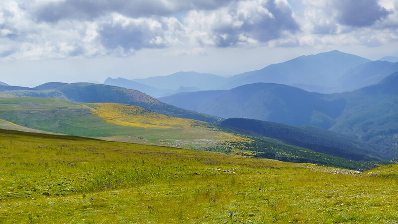 Dét har Sønderjylland at byde på